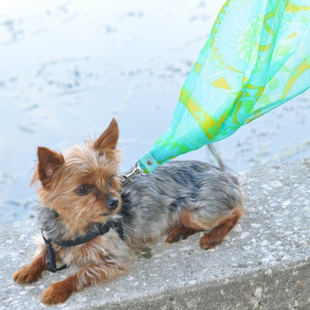 Elegant Small Dog Scarf Leash